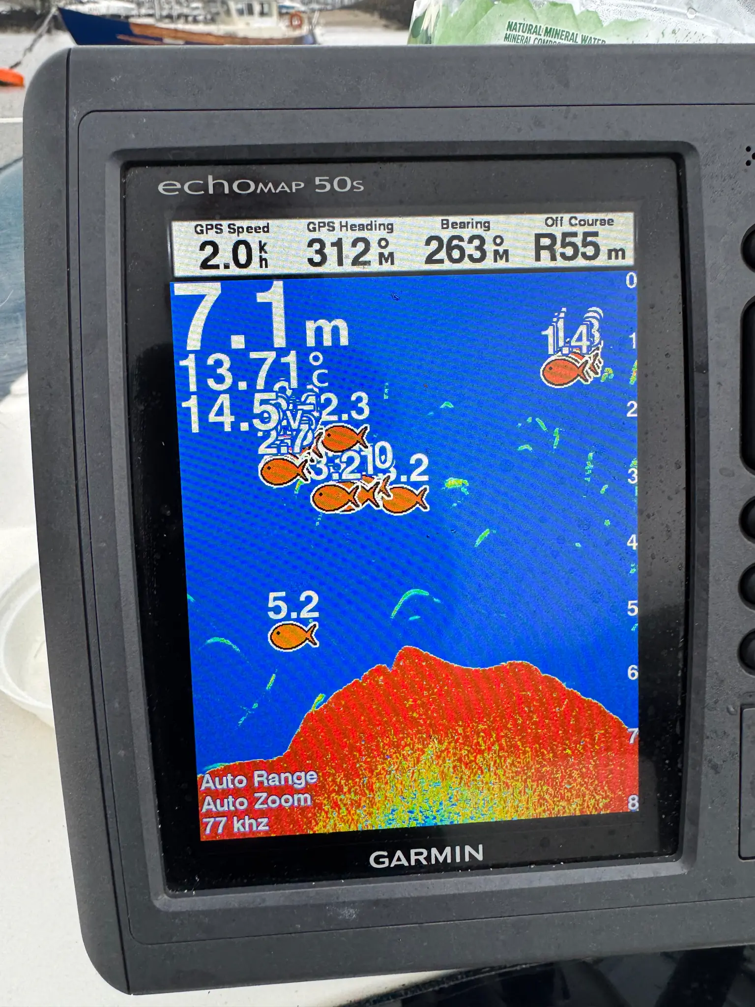 Shore fishing success